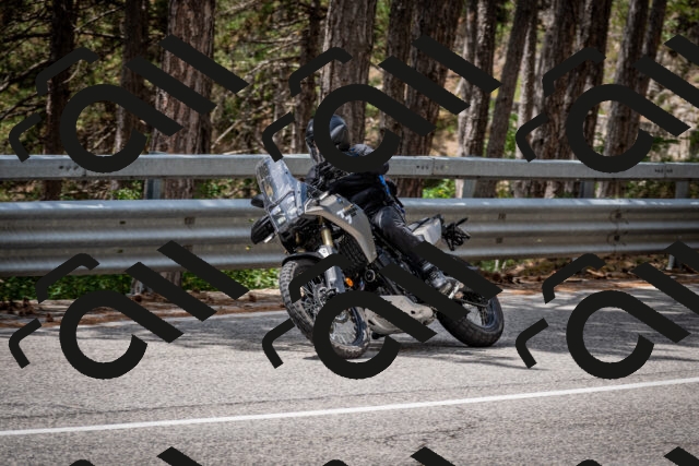 202508031245-DSC_3907_c2