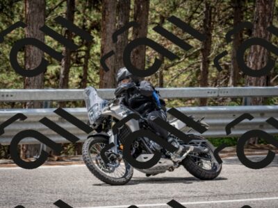 202508031245-DSC_3908_c2