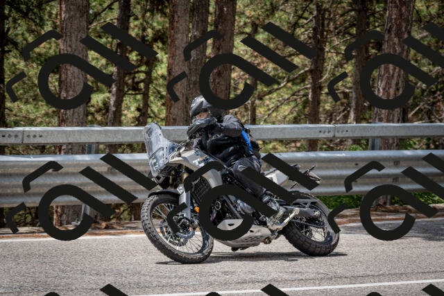 202508031245-DSC_3908_c2