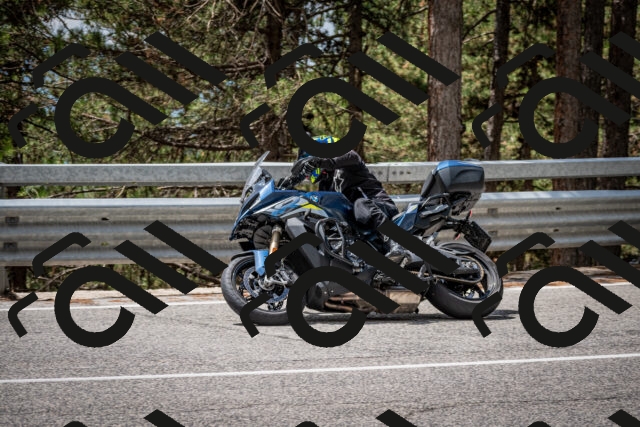 202508031245-DSC_3909_c2