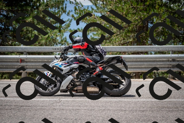 202508031245-DSC_3912_c2