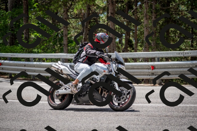 202508031245-DSC_3914_c2