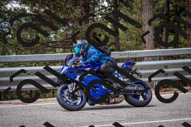 202508031246-DSC_3916_c2