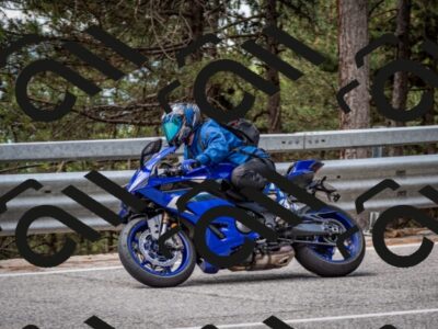 202508031246-DSC_3916_c2