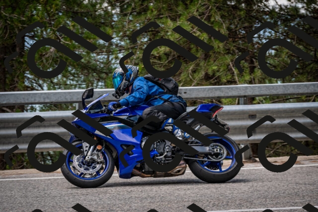 202508031246-DSC_3917_c2