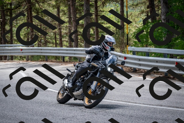 202508031247-DSC_3918_c2