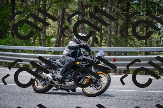 202508031247-DSC_3919_c2