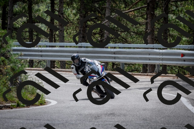 202508031247-DSC_3921_c2