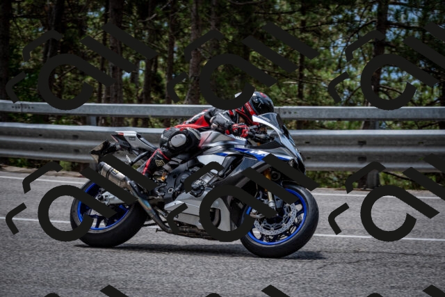 202508031247-DSC_3926_c2