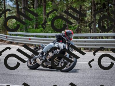 202508031248-DSC_3928_c2