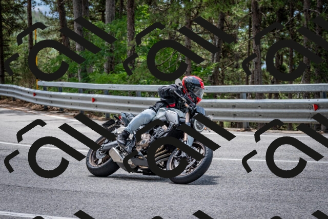 202508031248-DSC_3928_c2