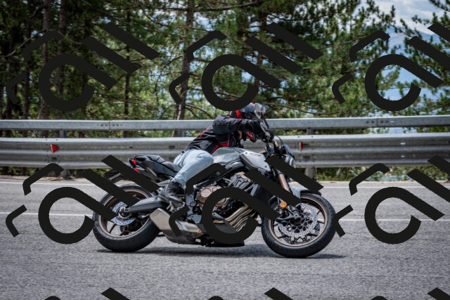 202508031248-DSC_3929_c2