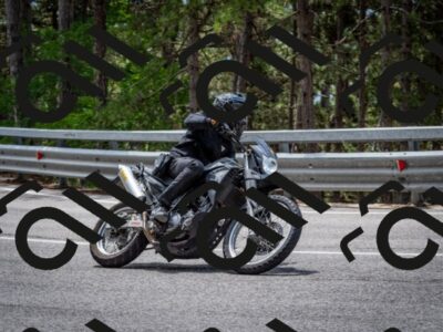 202508031248-DSC_3931_c2