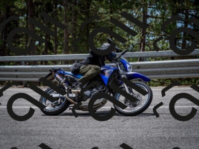 202508031248-DSC_3932_c2