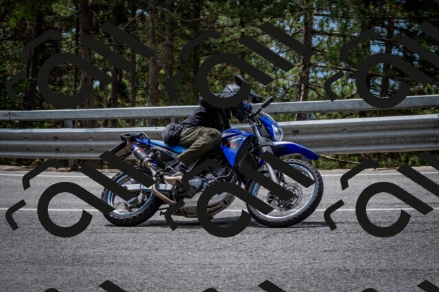 202508031248-DSC_3932_c2