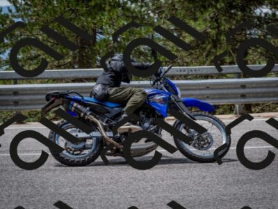 202508031248-DSC_3933_c2