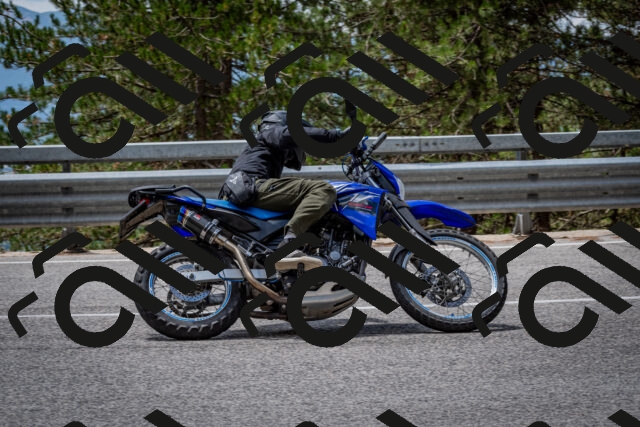 202508031248-DSC_3933_c2