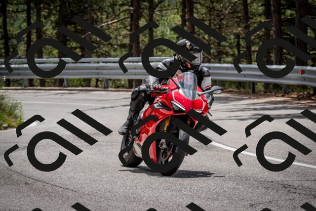 202508031249-DSC_3934_c2