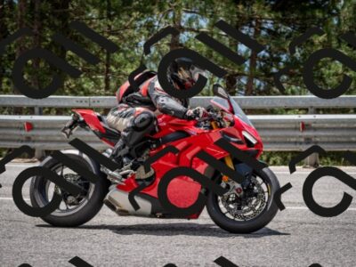 202508031249-DSC_3936_c2