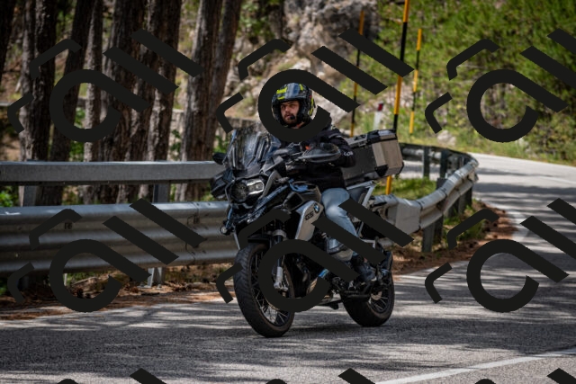 202508031249-DSC_3937_c2