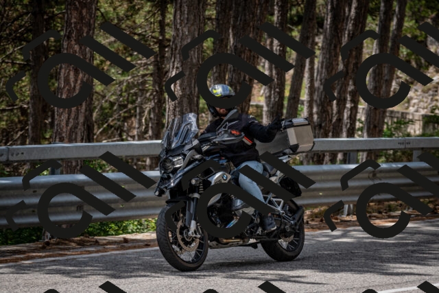 202508031249-DSC_3938_c2