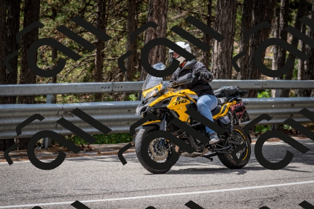 202508031249-DSC_3940_c2