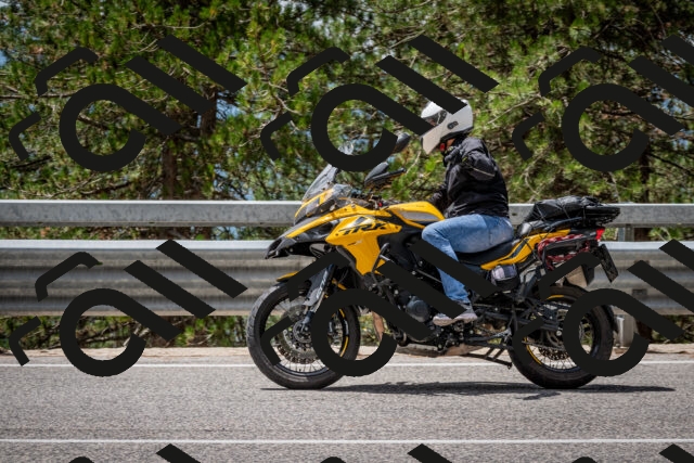 202508031249-DSC_3942_c2