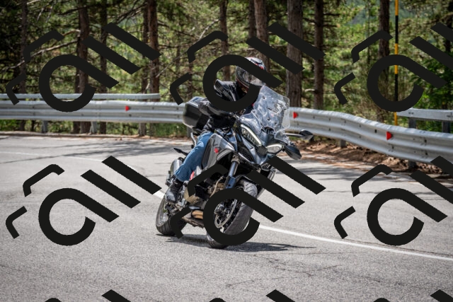 202508031250-DSC_3943_c2