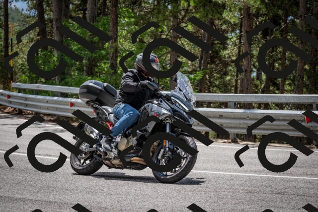 202508031250-DSC_3944_c2