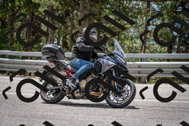 202508031250-DSC_3945_c2