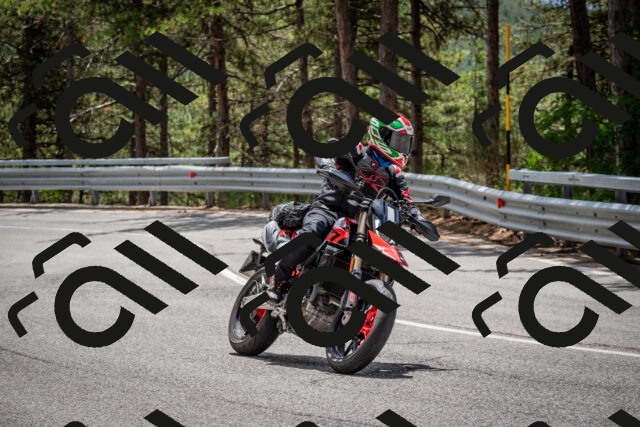 202508031251-DSC_3946_c2