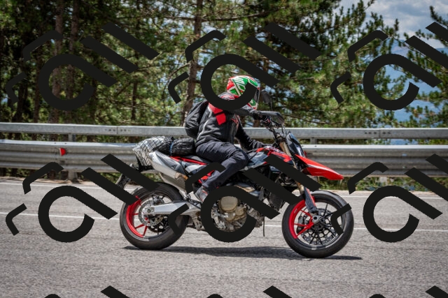 202508031251-DSC_3947_c2