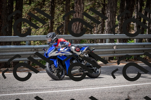 202508031251-DSC_3948_c2