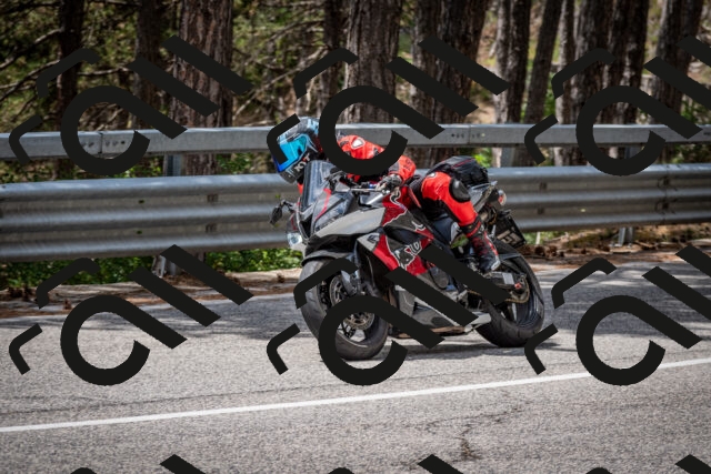 202508031251-DSC_3952_c2