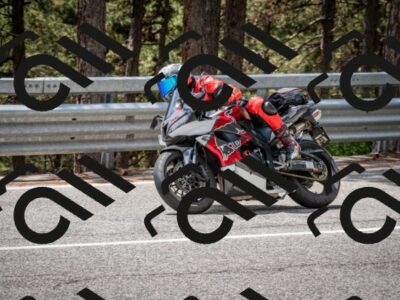 202508031251-DSC_3953_c2