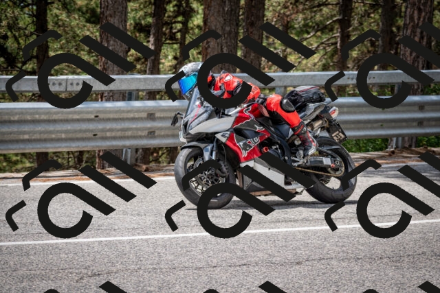 202508031251-DSC_3953_c2