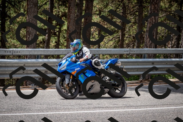 202508031251-DSC_3954_c2