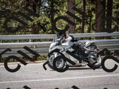 202508031251-DSC_3959_c2