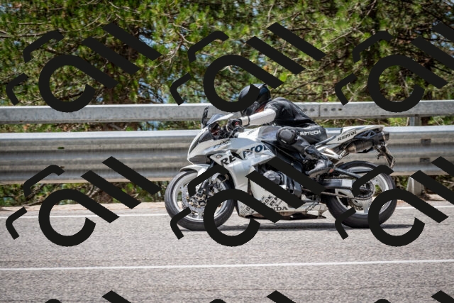 202508031251-DSC_3960_c2