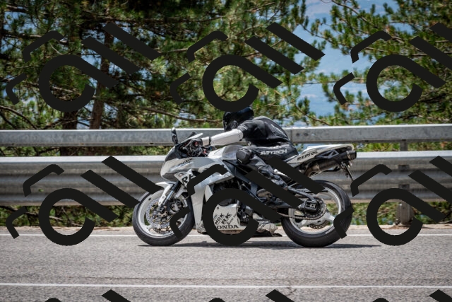 202508031251-DSC_3961_c2