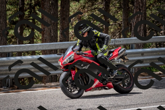 202508031251-DSC_3962_c2