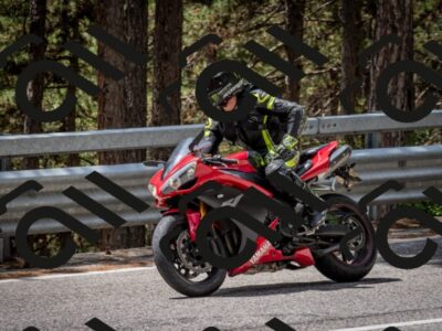 202508031251-DSC_3962_c2