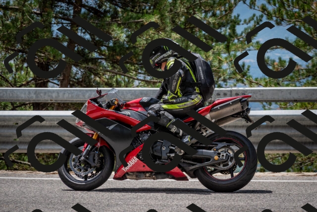 202508031251-DSC_3964_c2