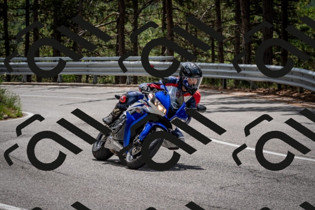 202508031252-DSC_3965_c2