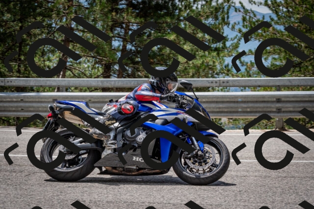 202508031252-DSC_3967_c2