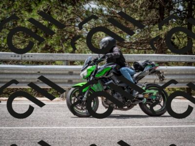 202508031252-DSC_3969_c2