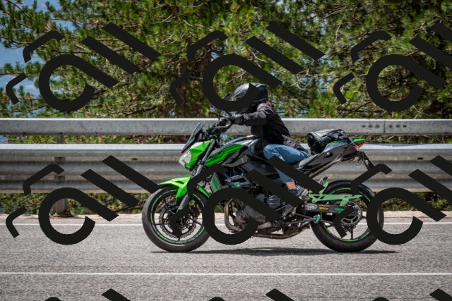 202508031252-DSC_3970_c2