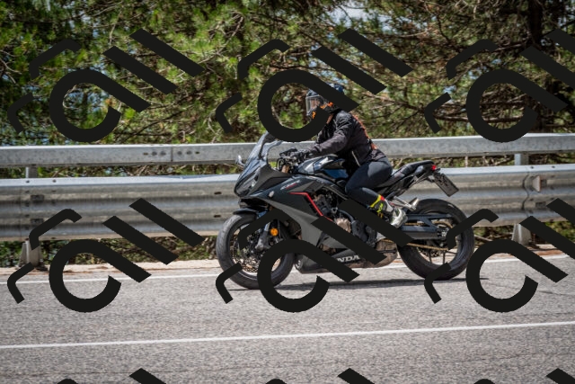 202508031252-DSC_3971_c2