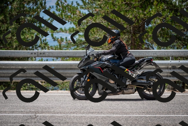 202508031252-DSC_3972_c2