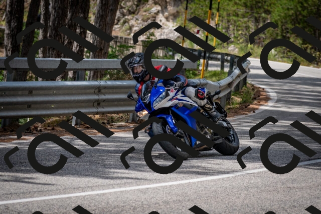 202508031252-DSC_3973_c2